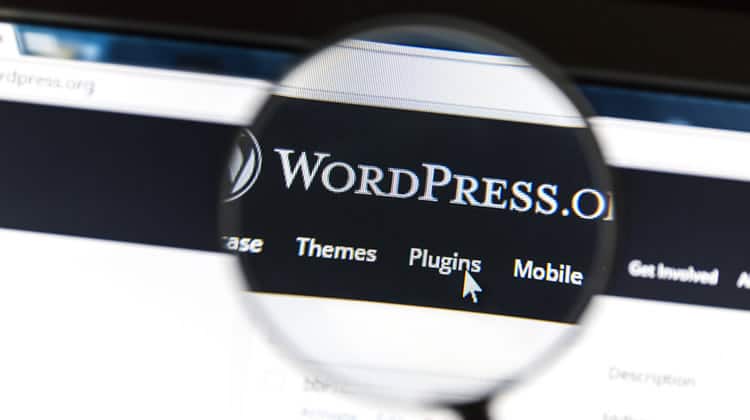 20 Best WordPress Plugins For User Testing - Your Path To A User-Centric Website