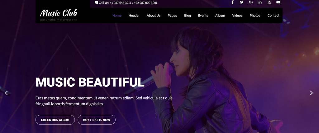 The demo page of the Music Club theme